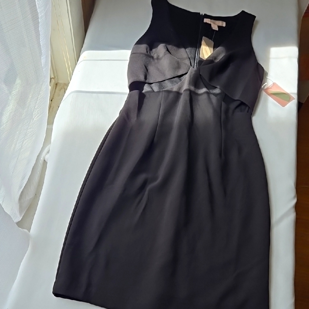 Elegant Black Sleeveless Dress